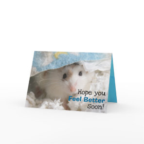 Hammyville - Cute Hamster Get Well Soon Card