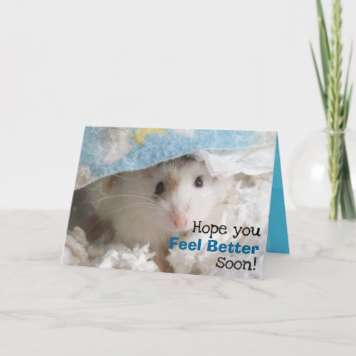 Hammyville _ Cute Hamster Get Well Soon Card