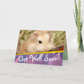 Hammyville - Cute Hamster Get Well Soon Card
