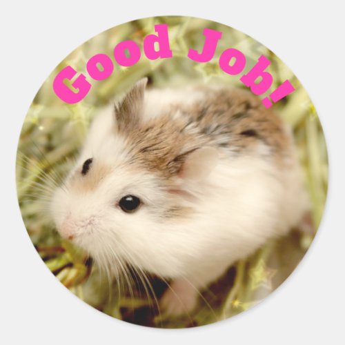 Hammyville _ Cute Hamster Good Job Classic Round Sticker