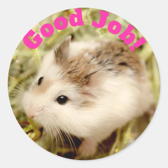 Hammyville - Cute Hamster Good Job Classic Round Sticker (Front)