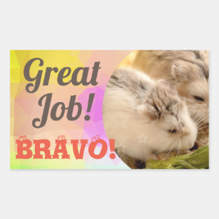 Bravo Stickers | Zazzle