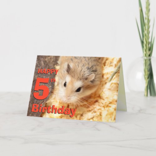 Hammyville _ Cute Hamster Happy Birthday Card