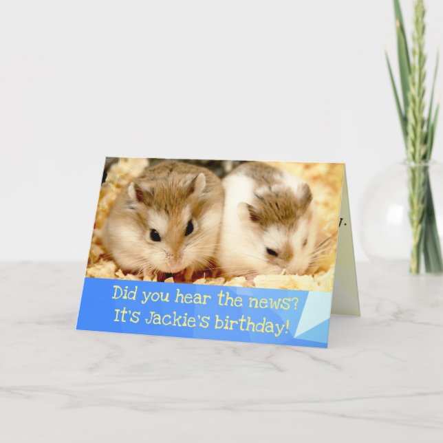 Hammyville - Cute Hamster Happy Birthday Card (Front)