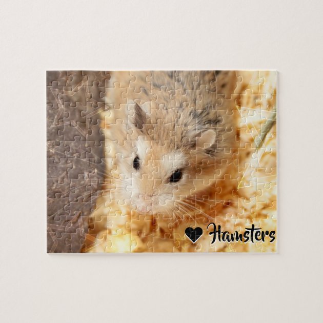 hamster puzzles