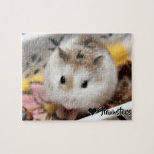 hamster puzzles