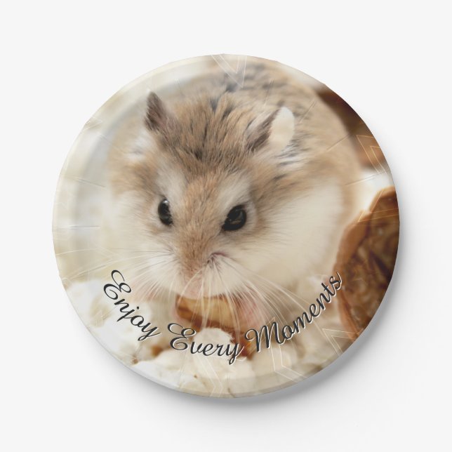 Hammyville - Cute Hamster Paper Plates (Front)