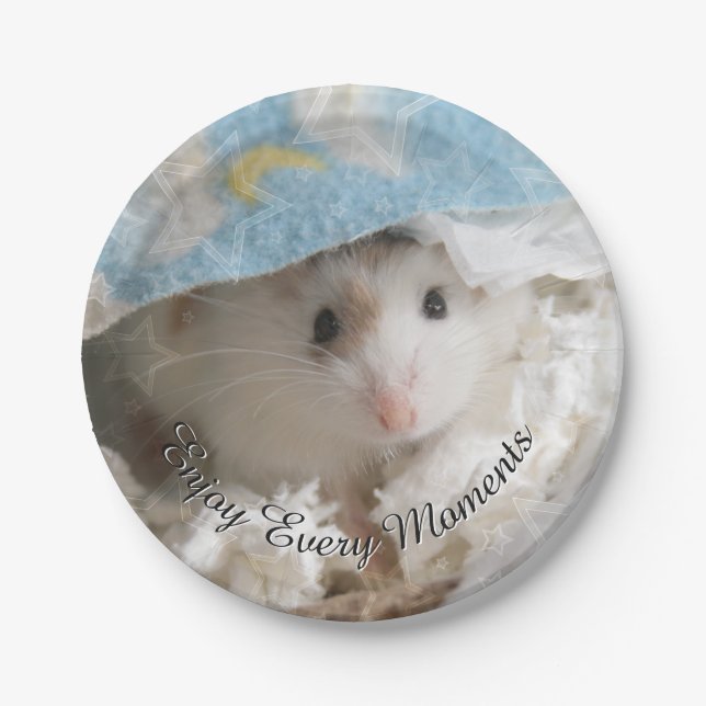 Hammyville - Cute Hamster Paper Plates (Front)