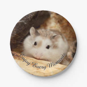 Hammyville - Cute Hamster Paper Plates