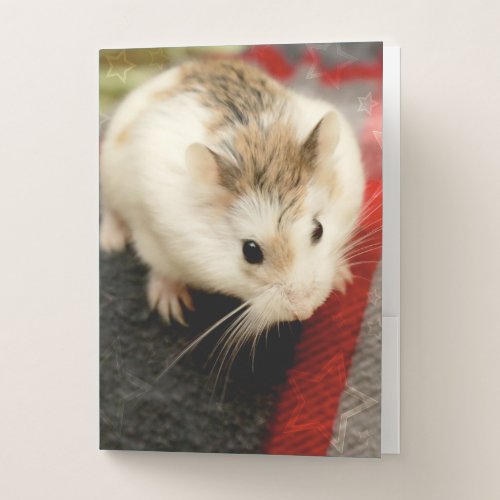 Hammyville _ Cute Hamster Pocket Folder