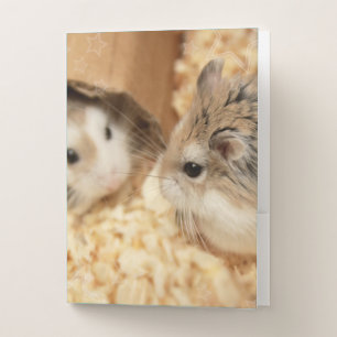 Hammyville - Cute Hamster Pocket Folder