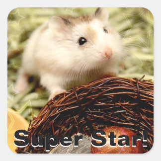 Hammyville - Cute Hamster Square Sticker