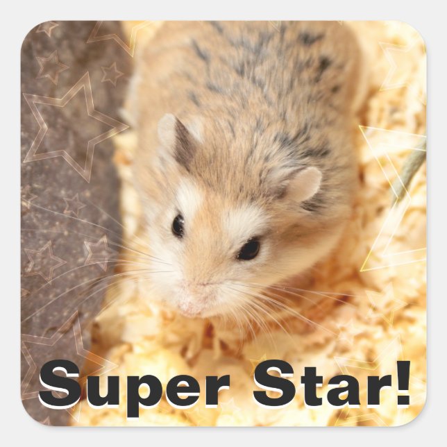 Hammyville - Cute Hamster Square Sticker (Front)