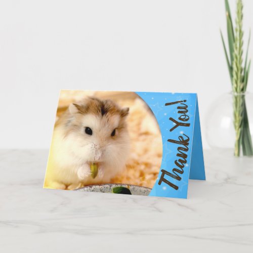 Hammyville _ Cute Hamster Thank You