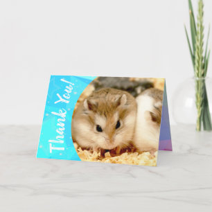 Hammyville - Cute Hamster Thank You