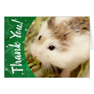 Hammyville - Cute Hamster Thank You Cards