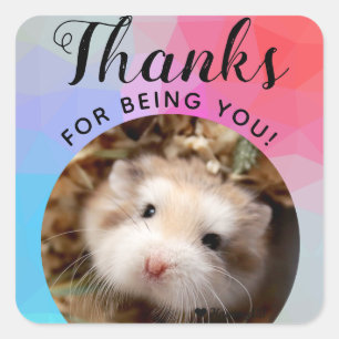 HammyVille - Cute Hamster Thanks for Being You Square Sticker