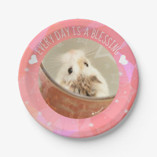 Hammyville - Cute Robo Hamster Blessing Paper Plates