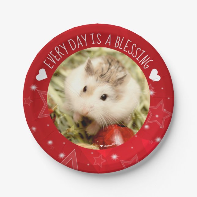Hammyville - Cute Robo Hamster Blessing Paper Plates (Front)