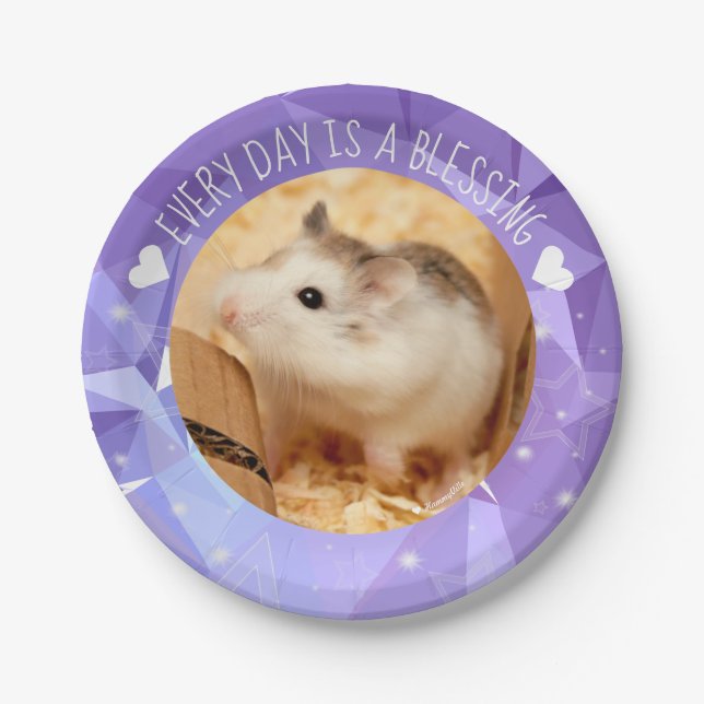 Hammyville - Cute Robo Hamster Blessing Paper Plates (Front)