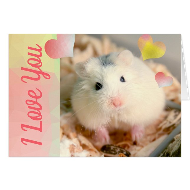 HammyVille - Cute Robo Hamster Valentine (Front Horizontal)