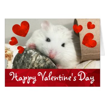 Hammyville - Cute Robo Hamster Valentine by HammyVille at Zazzle