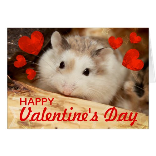 HammyVille _ Cute Robo Hamster Valentine