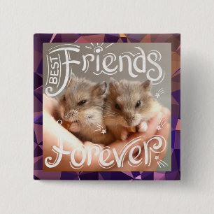 Hammyville - Hamster Best Friends Forever Button