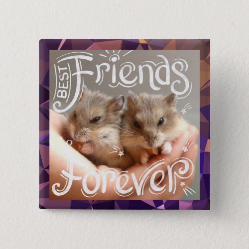 Hammyville _ Hamster Best Friends Forever Button