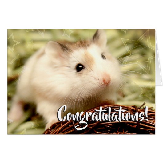 Hammyville - Hamster Congratulations (Front Horizontal)