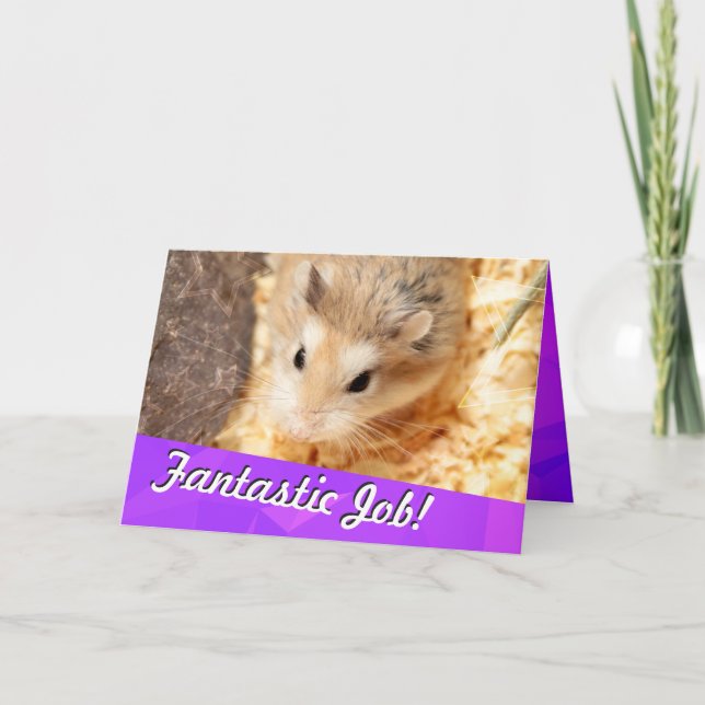 Hammyville - Hamster Congratulations Card (Front)