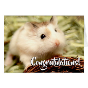 Hammyville - Hamster Congratulations Cards