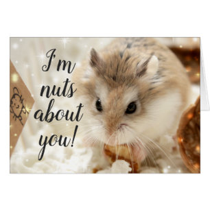 Hammyville - Hamster Nuts About You Cards