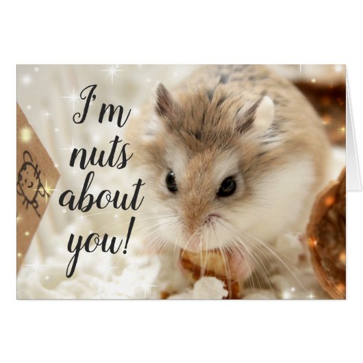 Hammyville - Hamster Nuts About You Cards (Front Horizontal)