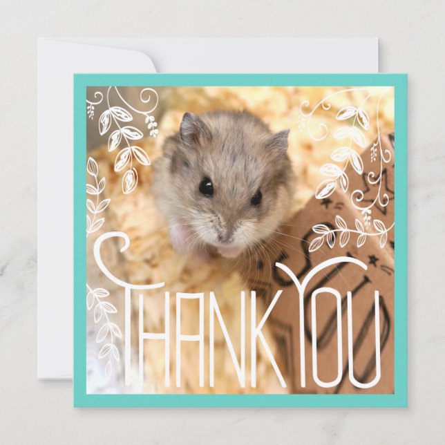 Hammyville - Hamster Thank You (Front)