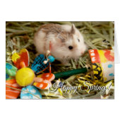 Hammyville - Spring Flower Hamster (Front Horizontal)