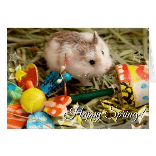Hammyville - Spring Flower Hamster Cards (Front Horizontal)