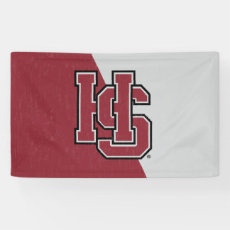 Hampden-Sydney Color Block Distressed Banner