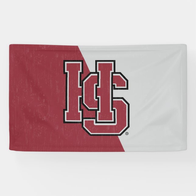 Hampden-Sydney Color Block Distressed Banner (Horizontal)