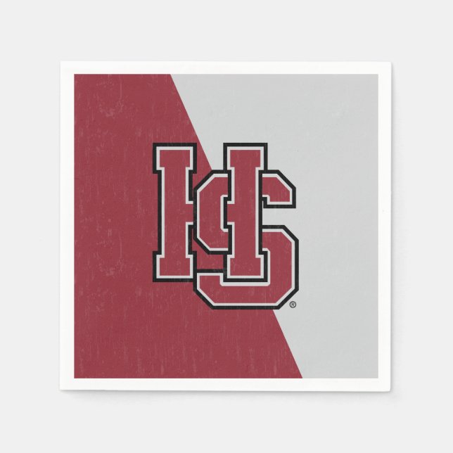Hampden-Sydney Color Block Distressed Napkins (Front)