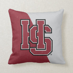 Hampden-Sydney Color Block Distressed Throw Pillow