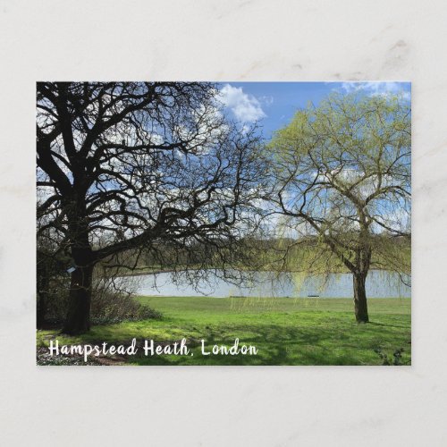 Hampstead Heath London  Oak and Willow Tree Postcard