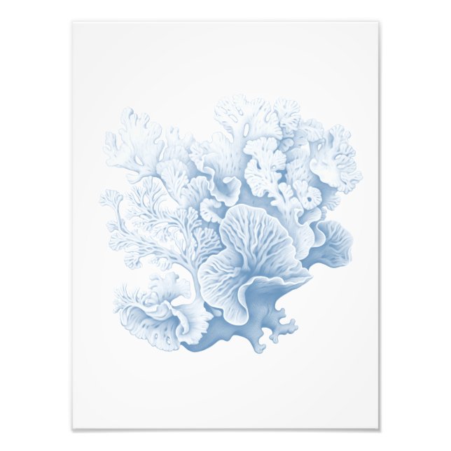 Hampton Coral soft blue  Photo Print (Front)
