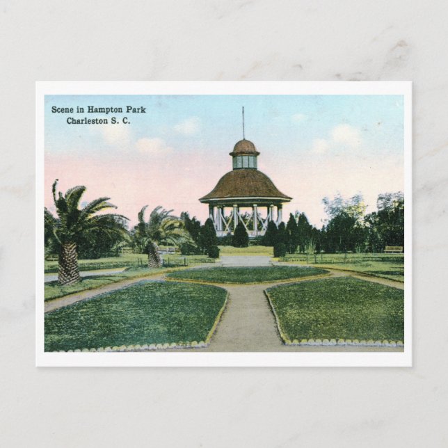 Hampton Park, Charleston SC Vintage Postcard (Front)