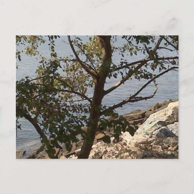 Hampton, VA chesapeake bay view Postcard (Front)