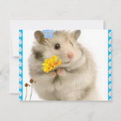 hamster (Front)