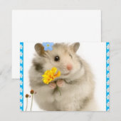 hamster (Front/Back)