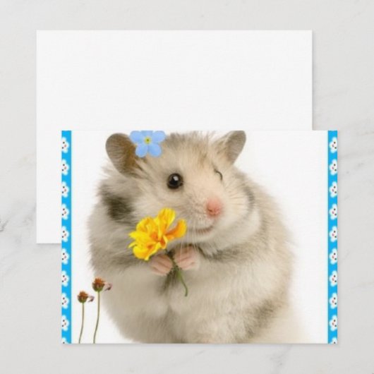 hamster (Front/Back)