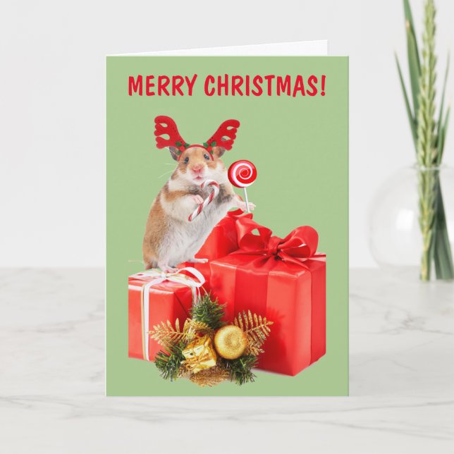 Hamster And Christmas Presents Holiday Card (Front)