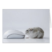 Hamster and Computer mouse (Front Horizontal)